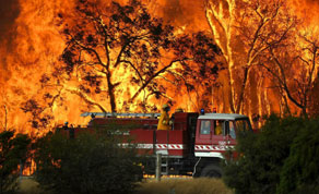 bushfire